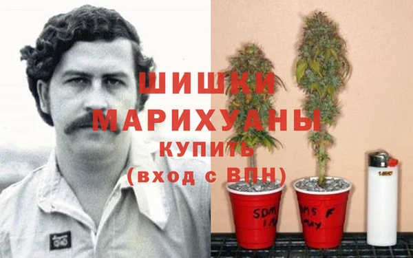 дурь Аркадак