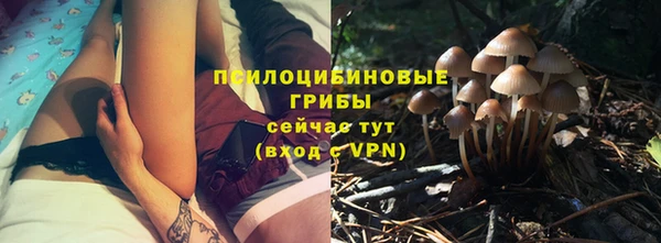 дурь Аркадак