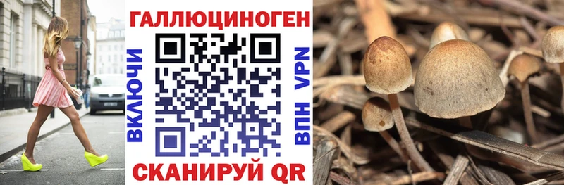 как найти закладки Аркадак Галлюциногенные грибы прущие грибы